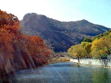 澳门二四六天天彩图库，天然橡胶板